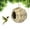 Green, variant on 1 Pack Hanging Hummingbird Nest House for Outside, Ball Shape, Hand Woven, Durable Sturdy, Made of Natural Grass, Perfect for Garden Patio Lawn Office Indoor
