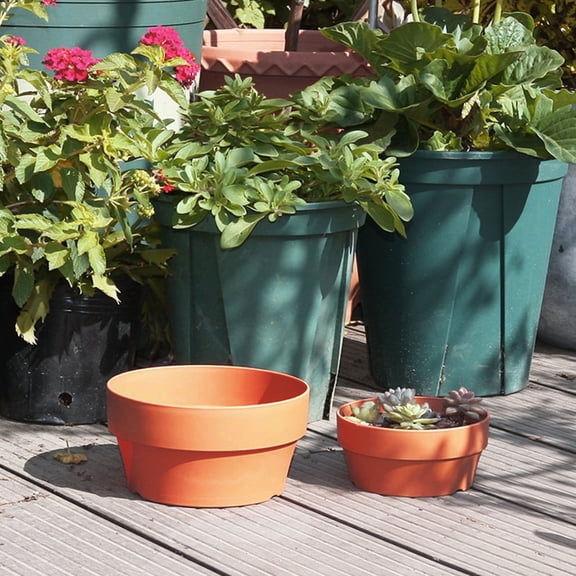Terracotta Style Plastic Plant Pot With Drainage Hole Shallow Succulent Planter For Indoor Outdoor Garden Bonsai 6.30 x 6.30 x 3.35 Inches