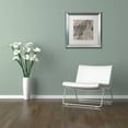 thumbnail image 3 of Trademark Fine Art "Zebra" Canvas Art by Color Bakery White Matte, Silver Frame, 3 of 4