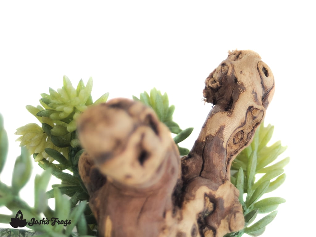 Pet-Tekk Habi-Scape Sedrum Plant on Driftwood