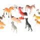 thumbnail image 4 of 4 Tarjetas De Juego Montessori Y Figuritas De Animales, Juguete Para Niños En Edad Preescolar, Animales, 4 of 8