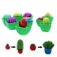 thumbnail image 4 of 48 unids/set increíbles plantas y flores que crecen en agua, juguetes de Cactus, expansión de remojo, absorción de agua, juguetes para niños, 4 of 7