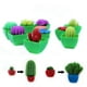 thumbnail image 4 of 48 unids/set increíbles plantas y flores que crecen en agua, juguetes de Cactus, expansión de remojo, absorción de agua, juguetes para niños, 4 of 7
