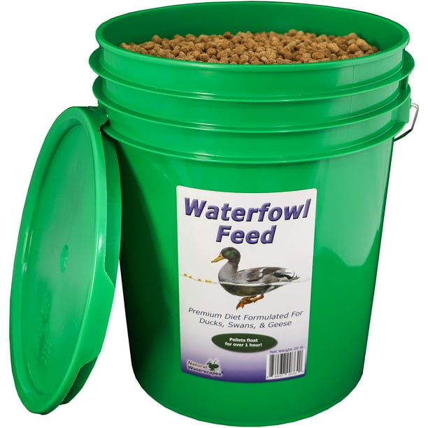 Waterfowl Feed | Floating Pellets for Duck, Swan, Goose | 20 lb Pail ...