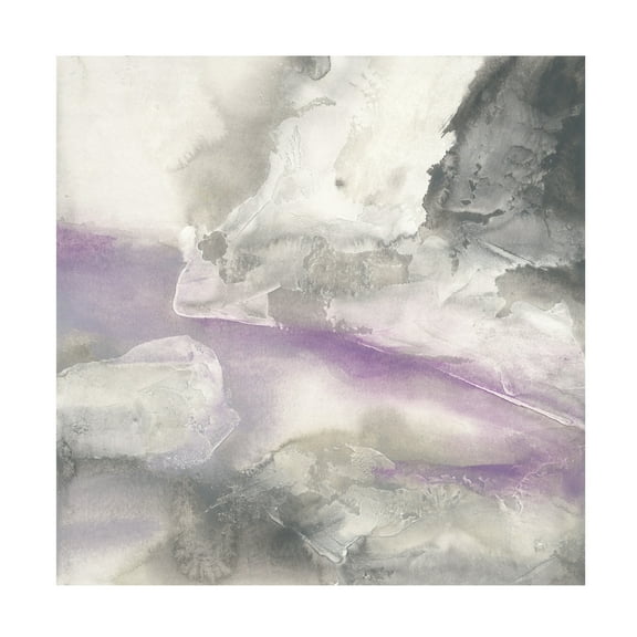 Trademark Fine Art 'Shades of Amethyst II' Canvas Art by Chris Paschke