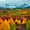 Colorado Autumn Landscape, variant on Elephant Stock Forest Autumn Trees Wall Art - Horizontal Canvas Wall Art - Living Room Wall Decor - Nature Canvas - Orange And Brown Decor - 24" x 16"