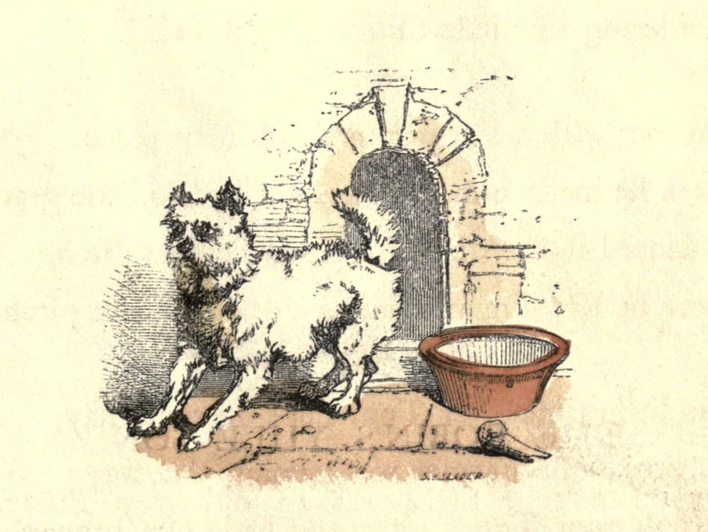 A Treasury Of Pleas