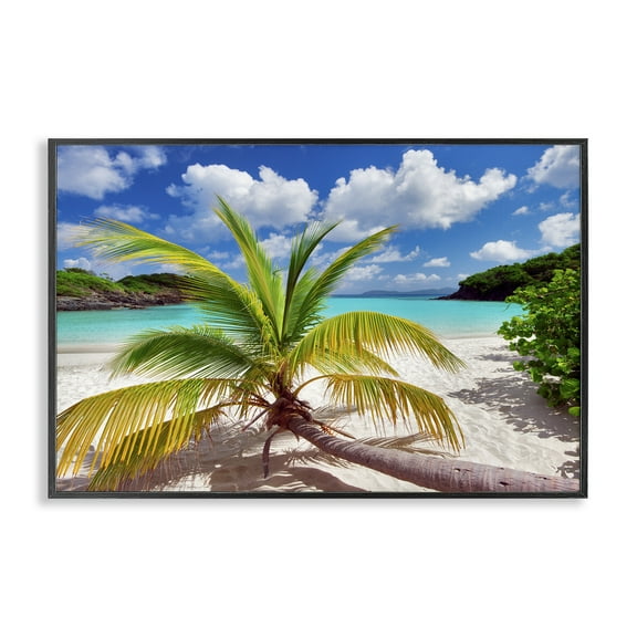 Stupell Industries Palm Tree Across Beach Coastal Photography Black Framed Art Print Wall Art, 18 x 12