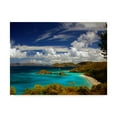 thumbnail image 1 of Trademark Fine Art 'Trunk Bay' Canvas Art by J.D. Mcfarlan, 1 of 3