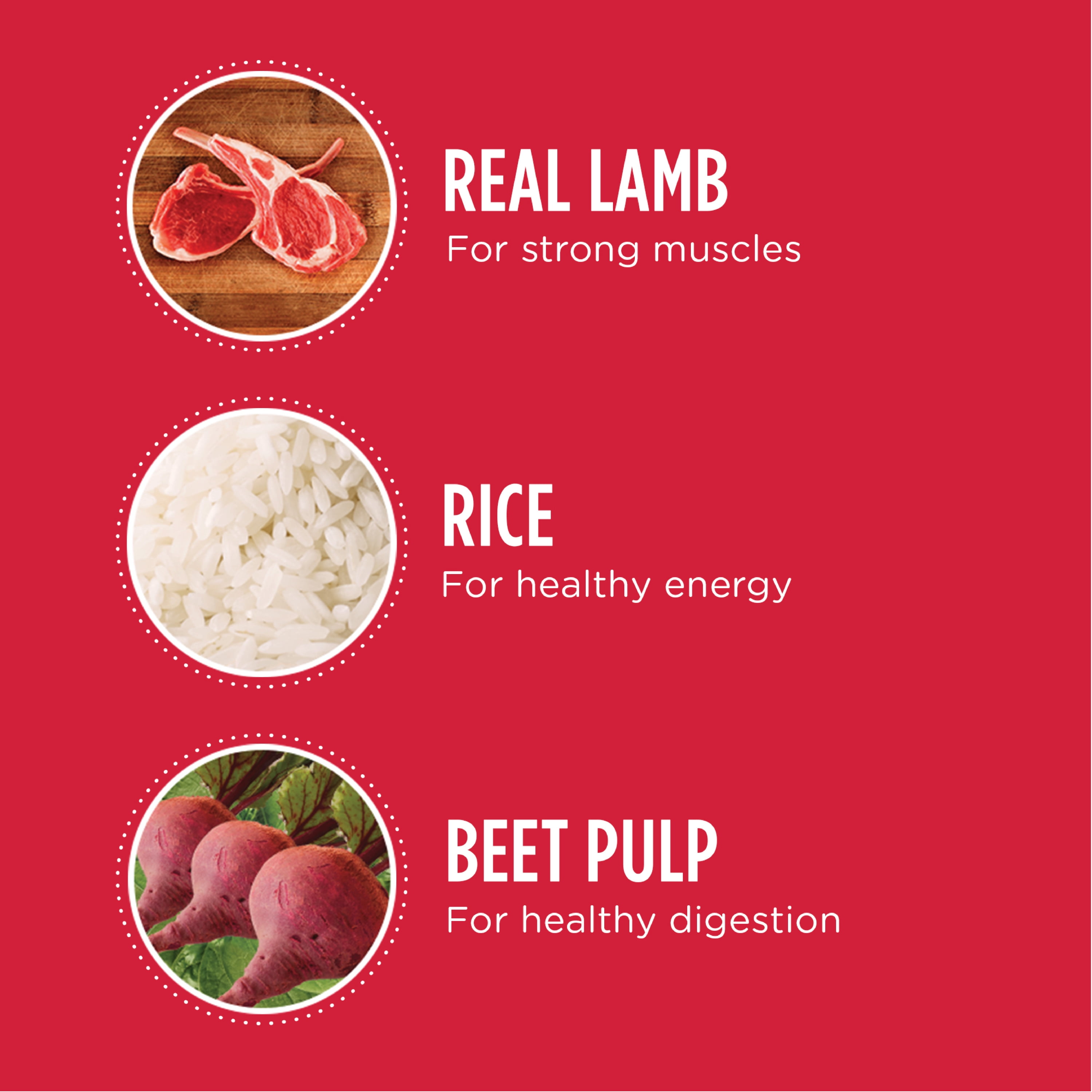 iams lamb and rice walmart