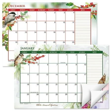 Current 2026 - 2027 Year of Birds Desk Calendar Pad, 11-Inch x 16-1/4-Inch Size, Large 24-Month Bookstore-Quality Calendars for Kitchen & Office
