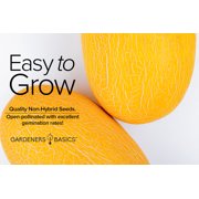 Yellow Canary Melon Seeds