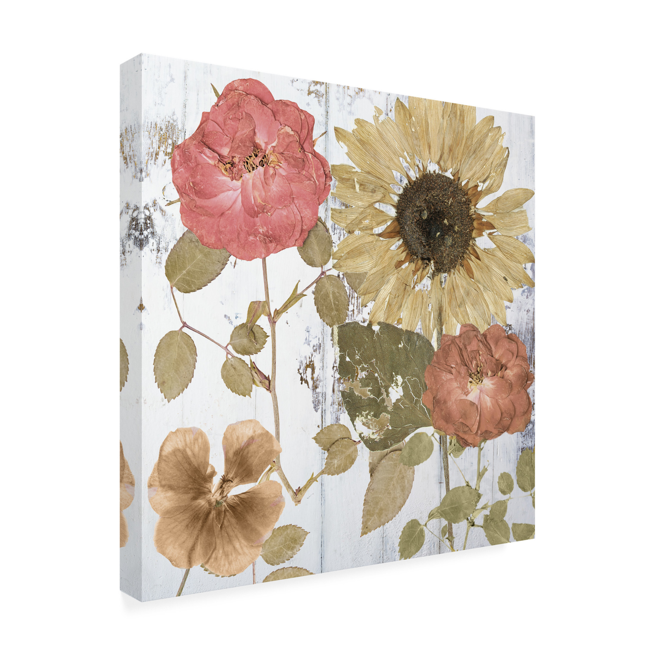 Canvas Wall Art - Sasha 'Earth to Petals II' Wall Art for Living Room, Bedroom, or Office Décor by Trademark Fine Art - 35 x 35 Inches