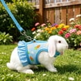 thumbnail image 6 of Tuvgenk Small Pet Harness and Leash Set Vest Style Breathable Mesh Rabbit Chest Strap for Guinea Pig Outdoor Walk L Blue, 6 of 7