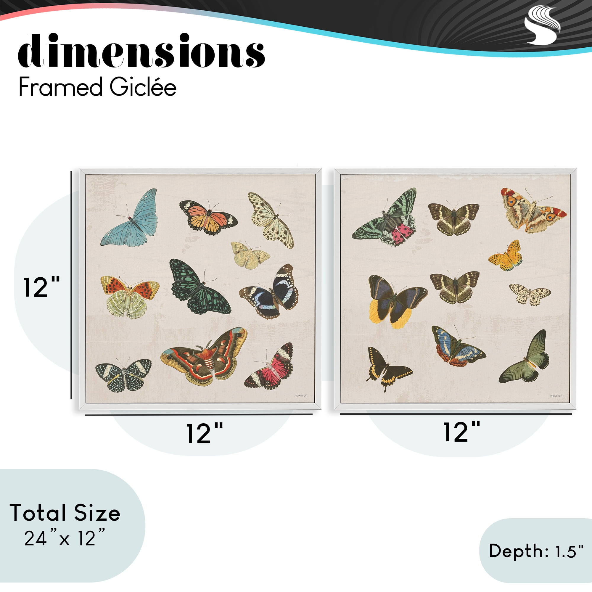 Stupell Industries Collection of Vintage Butterflies 2 Piece White Framed Giclee Art Set, design by Dan Meneely