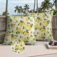 thumbnail image 2 of Yellow Lemons Fruits Outdoor Pillow Covers Pack of 2 Leaf Green Buffalo Plaid Farm Plant Waterproof Throw Pillow Covers Decorative Cushion Cases for Patio Garden Tent Balcony Couch 18x18 inch, 2 of 9