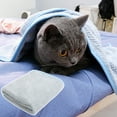 thumbnail image 4 of Exquisite Pet Bed - No Shedding, Fluffy, Thicken Soft, Keep Warm - Strong Water Absorption Coral Fleece Dog Towel for Cats, 4 of 8