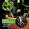 thumbnail image 6 of Moonsky Sustainable Cactus Automatic Watering Device 2026 Lazy Gardening Self-Watering Globe Eco-friendly Plastic Stake for Indoor Potted Plants 4PK, 6 of 9