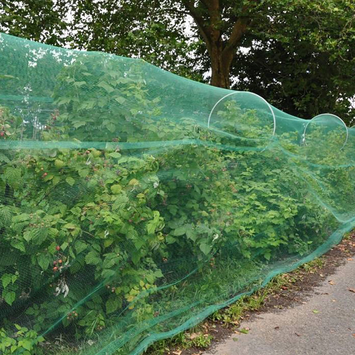 Anti Bird Pond Netting Net Plants Veg Crops Fruit Protect Garden Fine