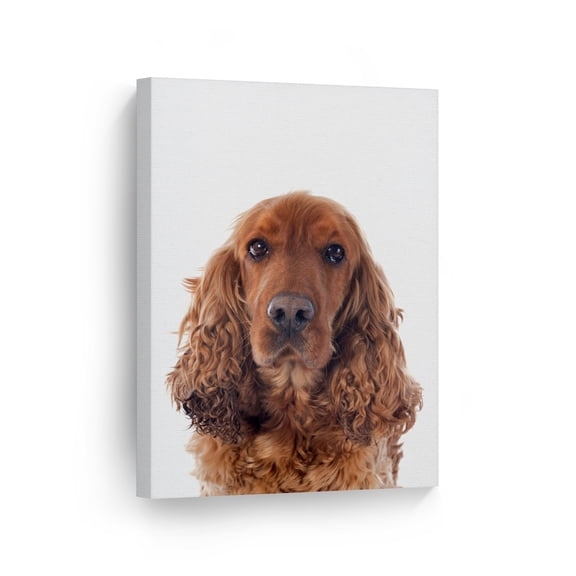 Smile Art Design Portrait of Cute Brown English Cocker Dog Animal Canvas Wall Art Print Pet Owner Dog Lover Mom Dad Gift Office Living Room Bedroom Kids Baby Nursery Room Decor - 40x30