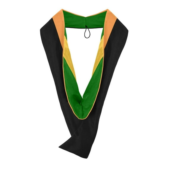 Endea Graduation Masters Hood For Engineering, Civil Engineering - Orange/Green/Gold