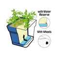 thumbnail image 4 of Mintra Garden - 14.5in Square - Large Garden Pot With Wheels (14.5inW x 15inH), 4 of 11