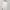 White, variant on CLOISE Capris Pants for Women Plus Size Stretch Wide Leg Pants Elastic Waisted Palazzo Pants Cotton Summer Casual Fashion Solid Loose Lightweight Cropped Flowy Trousers Blue 7XL