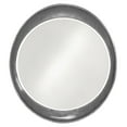 thumbnail image 1 of Elizabeth Austin Ellipse Mirror - 35W x 39H in., 1 of 2