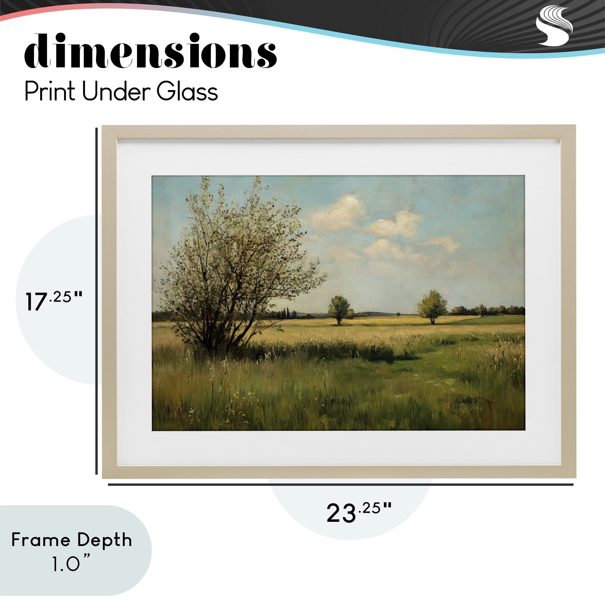 Stupell Industries Peaceful Meadow Under Serene Sky Birch Framed Print Under Glass, design by Petal Prints Design
