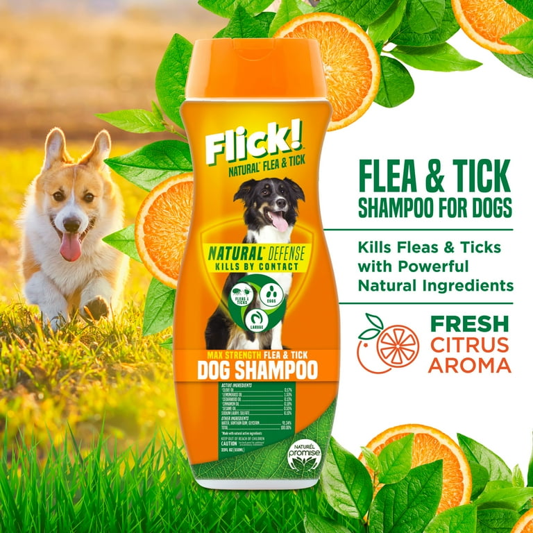 Flick dog shampoo hotsell