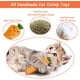 thumbnail image 2 of Juguetes con hierba gatera, juguetes para gatos, juguetes para gatos de interior, juguetes con hierba gatera para gatos, juguetes con hierba gatera, juguete interactivo para gatos, juguete, 2 of 5
