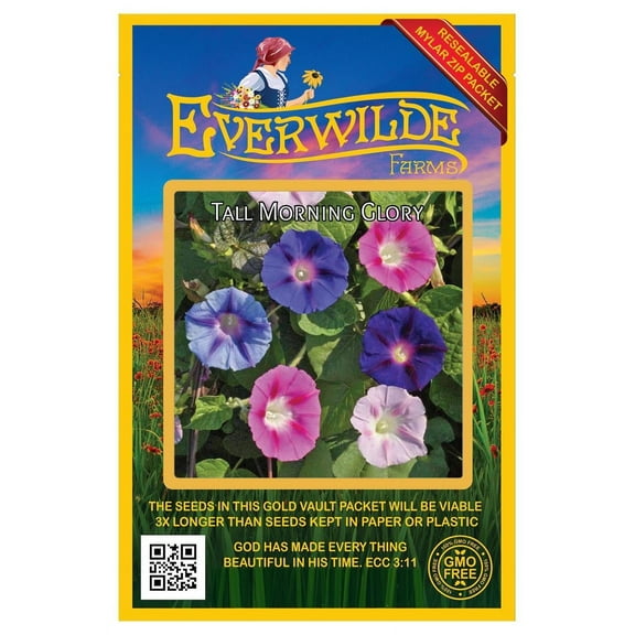 Everwilde Farms - 50 Tall Mixed Morning Glory Garden Flower Seeds - Gold Vault Jumbo Bulk Seed Packet