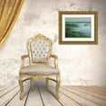 thumbnail image 3 of Bansemer, Roger 32x26 Gold Ornate Wood Framed with Double Matting Museum Art Print Titled - Oyster Beds, 3 of 4