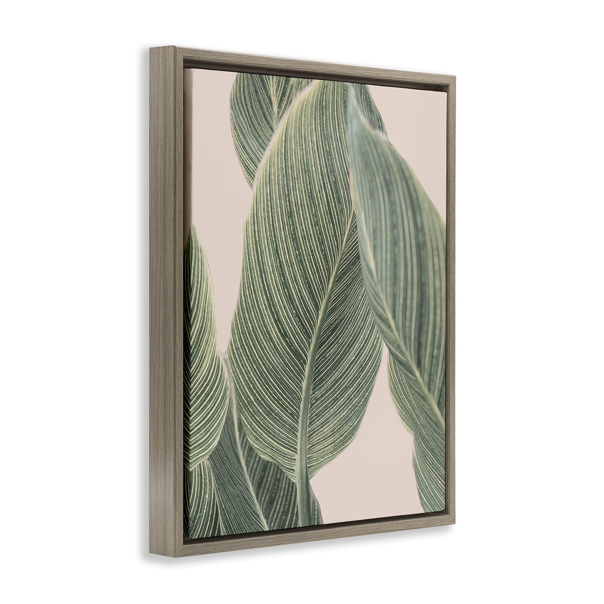 Stupell Industries Curled Green Leaves Plants & Flowers Painting Brown Floater Framed Canvas Art Print Wall Art, 25 x 31