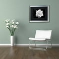 thumbnail image 3 of Trademark Fine Art "Gardenia in Black and White" Canvas Art by Kurt Shaffer, Black Matte, Silver Frame, 3 of 4