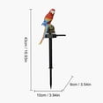 thumbnail image 3 of NSESSHome Solar Light Backyard for Lamp Stake Lawn Resin Decor Decorative with Landscape Lights Pathway Patio Decorations Decoration Outdoor Parrot Animal Garden Led Ornament, 3 of 6