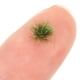 thumbnail image 3 of Miniature Bases Static Grass Tuft for Decoration 1 Box Green Resin, 3 of 5