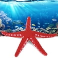 thumbnail image 1 of Decretación de Estrellas de Mar, Decretación de Acuario Adornos de Estrellas de Mar Simulación Luminosa Estrella de Mar Adorno para Caja de Peces Hogar Decretación, 1 of 7