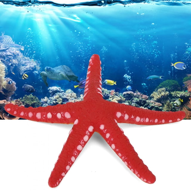 Decretación de Estrellas de Mar, Decretación de Acuario Adornos de Estrellas de Mar Simulación Luminosa Estrella de Mar Adorno para Caja de Peces Hogar Decretación