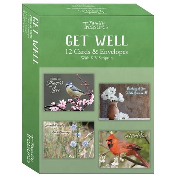 Family Treasures Wholesale 480303 Boxed Card for Get Well - Touch of Color - Box of 12