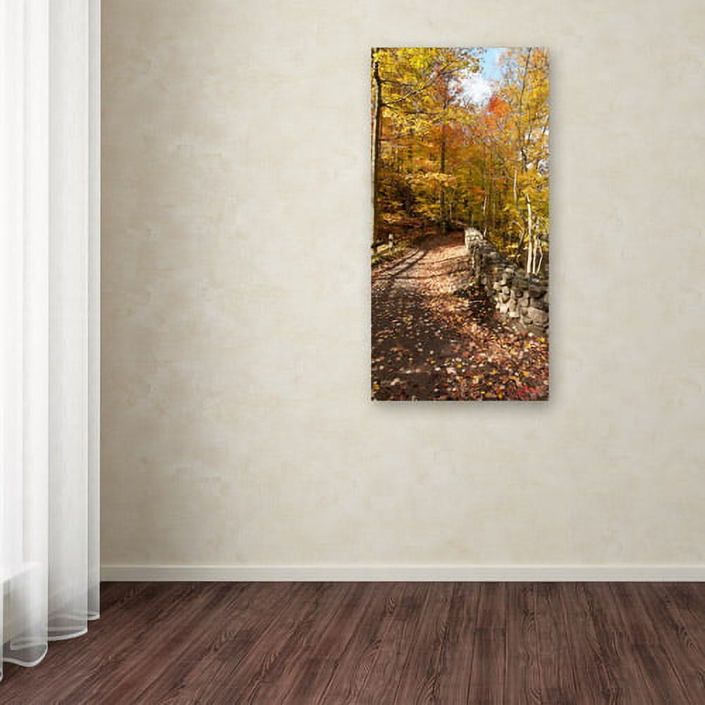 Trademark Fine Art "Beautiful Autumn Hike" Canvas Art by Kurt Shaffer