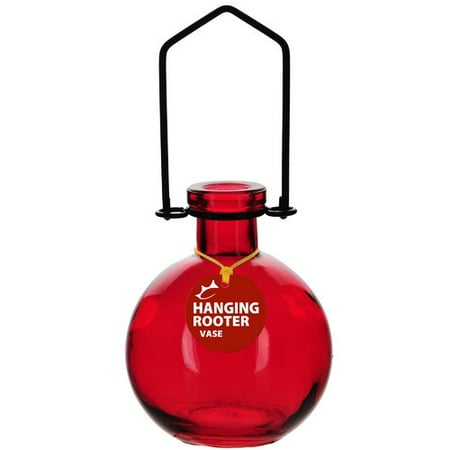 Couronne Hanging Ball Recycled Glass Rooting Wall Vase