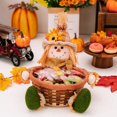 thumbnail image 3 of Muñeca de la Temporada de Cosecha Canasta de Dulces Canasta de Frutas Muñeca Decoración Decoración de Otoño Muñeca A, 3 of 5