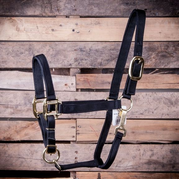 Jeffers Nylon Yearling Adjustable Halter with Throat Snap, (400-600 lb)