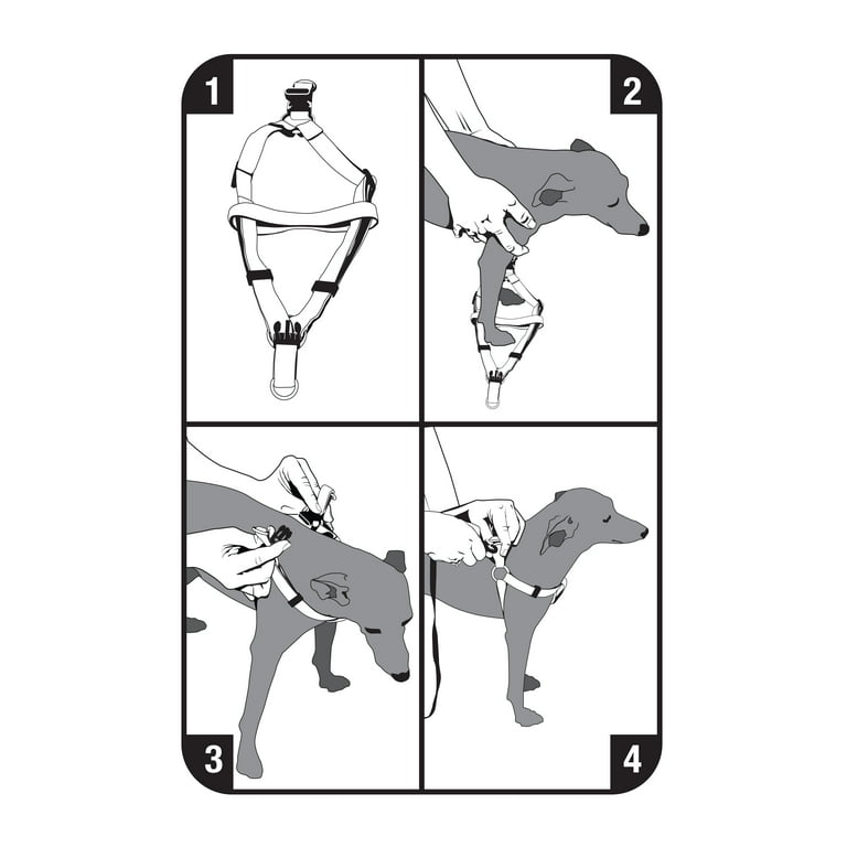 Step in harness instructions 2025