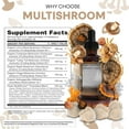 thumbnail image 3 of Mushroom Supplement Liquid Drops with Lions Mane Turkey Tail Cordyceps Reishi Chaga Shitake Maitake Tremella Oyster Mushrooms Poria Supplement and Enokitake Mushrooms Complex Blend by Clean Nutra, 3 of 10