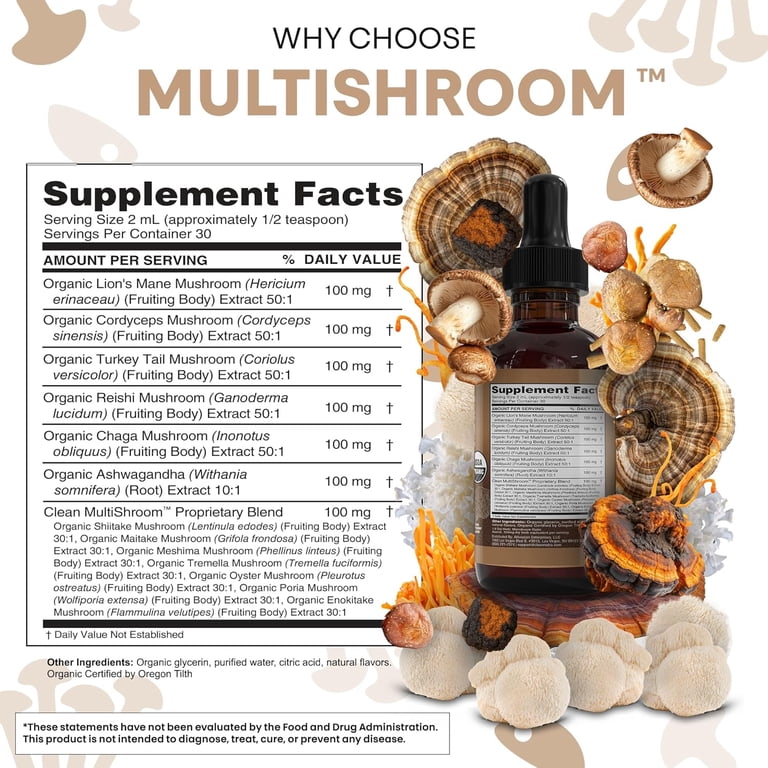 Complexe De 6 Champignons (Chaga, Cordyceps, Etc.) - 60 Capsules 500mg GREEN SUPPLY