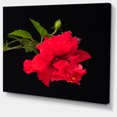 thumbnail image 2 of Bright Red Hibiscus on Black - Large Floral Canvas Art Print, 2 of 4