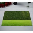 thumbnail image 2 of HATIART Green Grass Hedge Table Placemat Food Mat 12x18 Inch,Pack of 2, 2 of 2