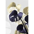 thumbnail image 3 of 1x Studio III 11x14 Black Modern Framed Museum Art Print Titled - Monstera Creative 14, 3 of 5